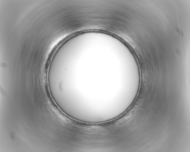 X0000090961119200708021116