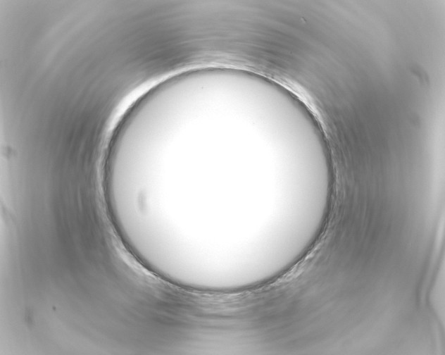 X0000090961120200708021116