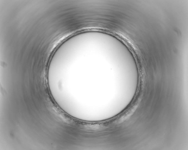 X0000090961121200708021116