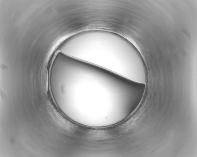 X0000090961123200708021116