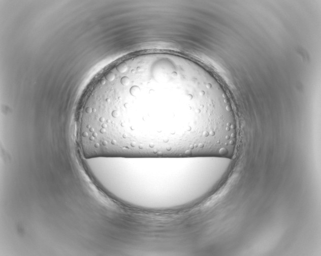 X0000090961125200708021116