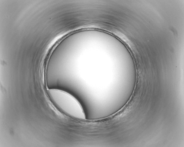 X0000090961127200708021116