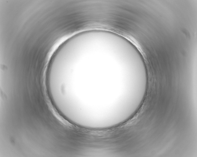 X0000090961128200708021116