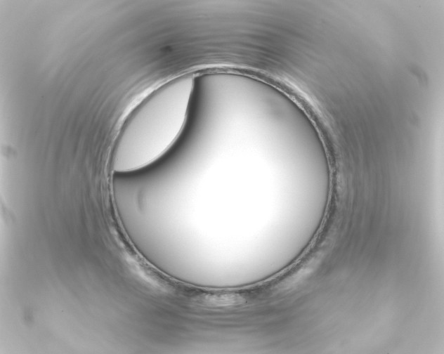 X0000090961129200708021116