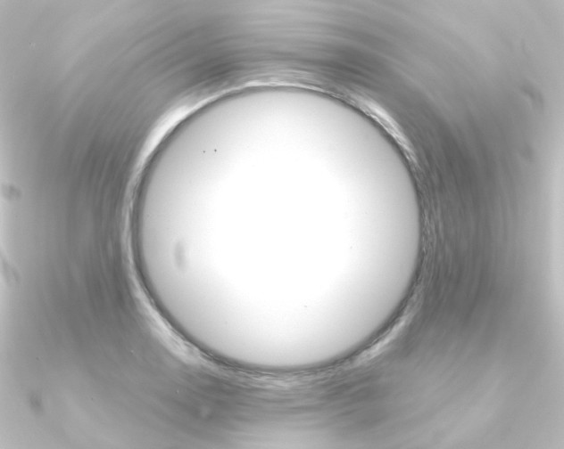 X0000090961130200708021116