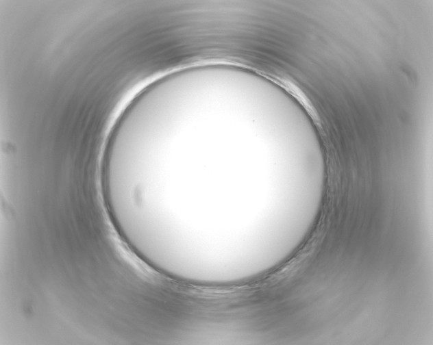 X0000090961132200708021116