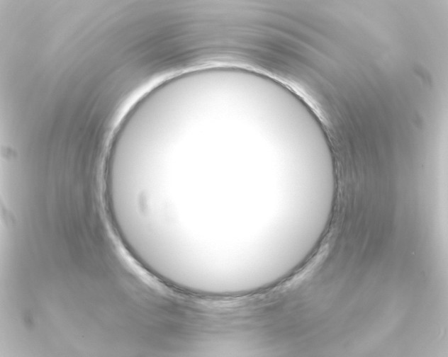 X0000090961134200708021116