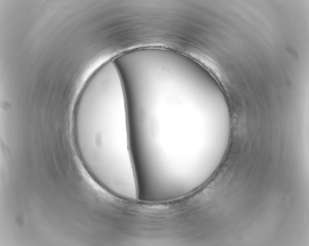 X0000090961135200708021116