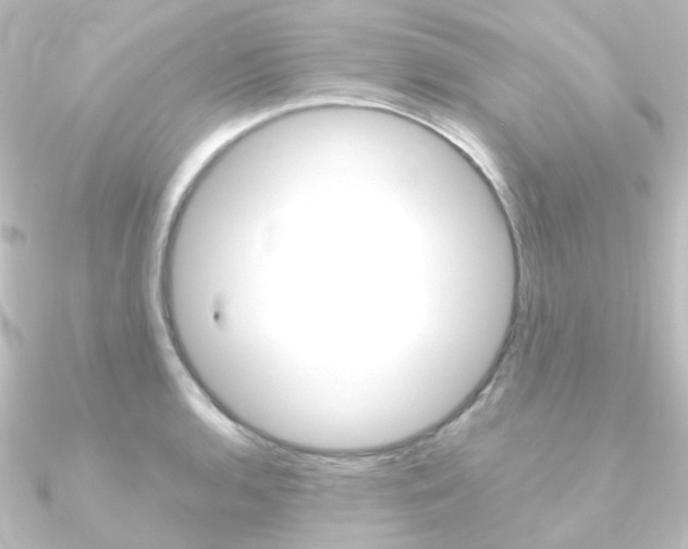 X0000090961136200708021116