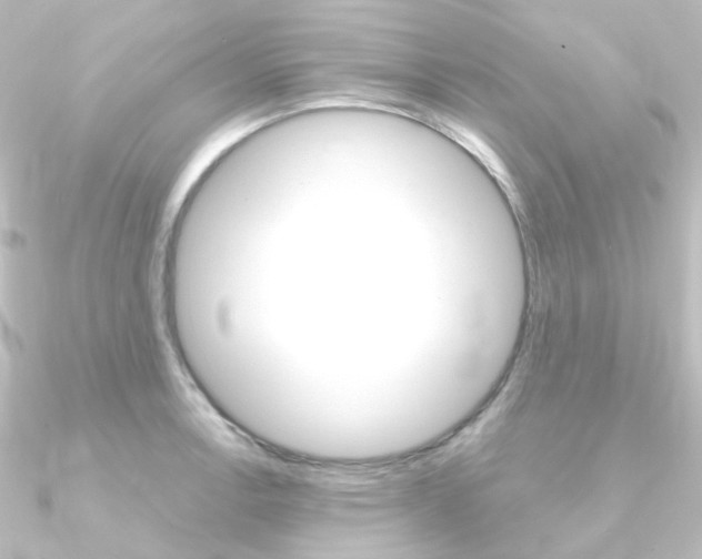 X0000090961138200708021116
