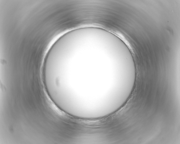X0000090961140200708021116