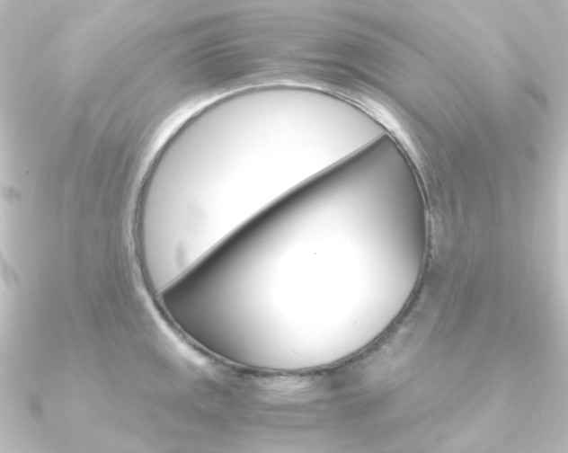 X0000090961141200708021116