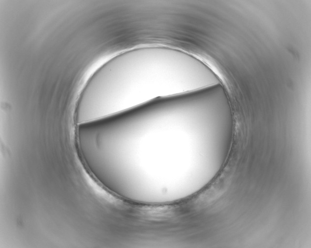 X0000090961143200708021116