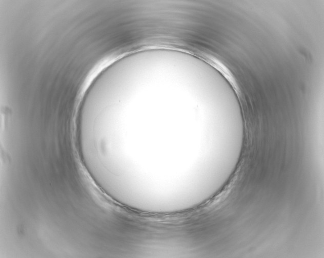 X0000090961146200708021116
