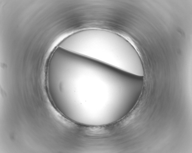 X0000090961147200708021116