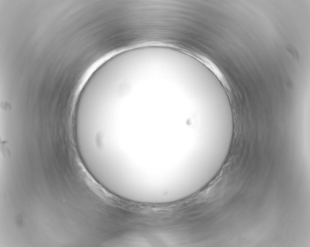 X0000090961148200708021116
