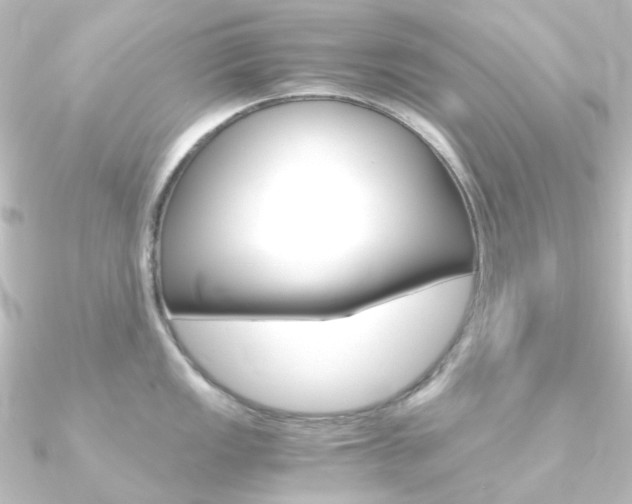 X0000090961149200708021116