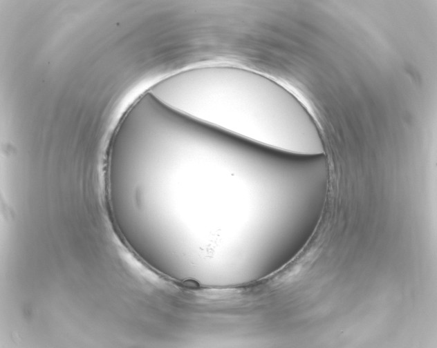 X0000090961151200708021116