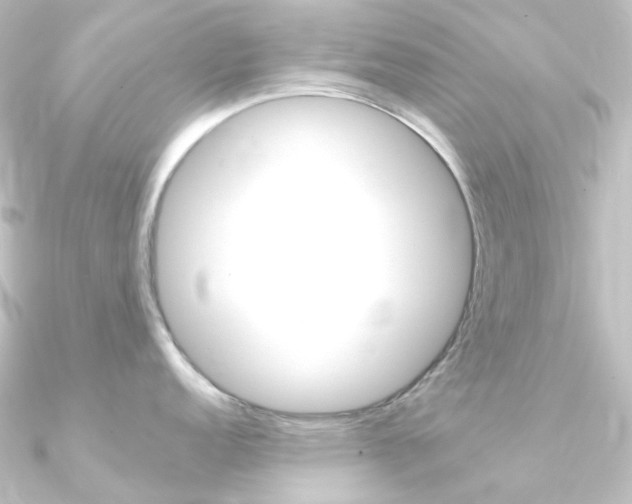 X0000090961152200708021116
