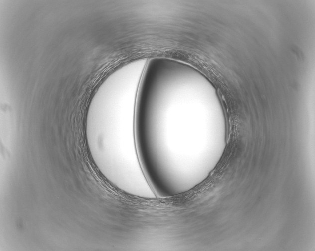 X0000090961153200708021116