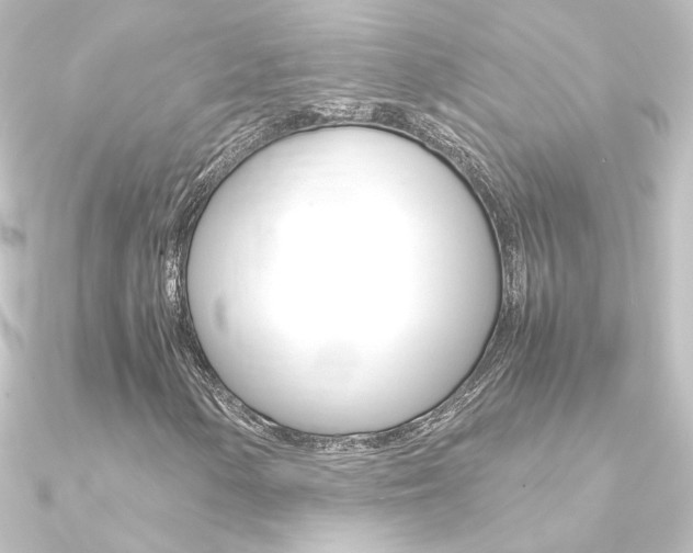 X0000090961154200708021116