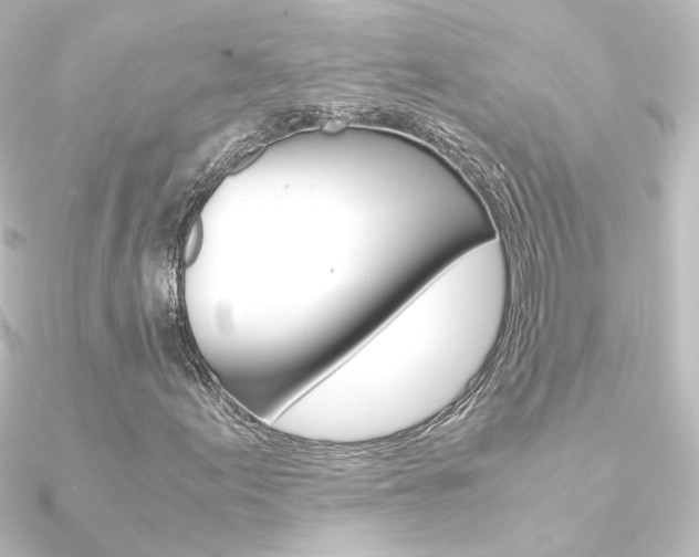 X0000090961155200708021116