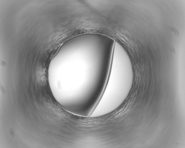 X0000090961156200708021116