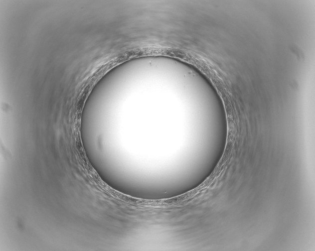 X0000090961157200708021116