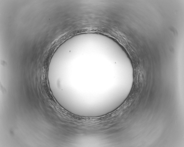 X0000090961158200708021116