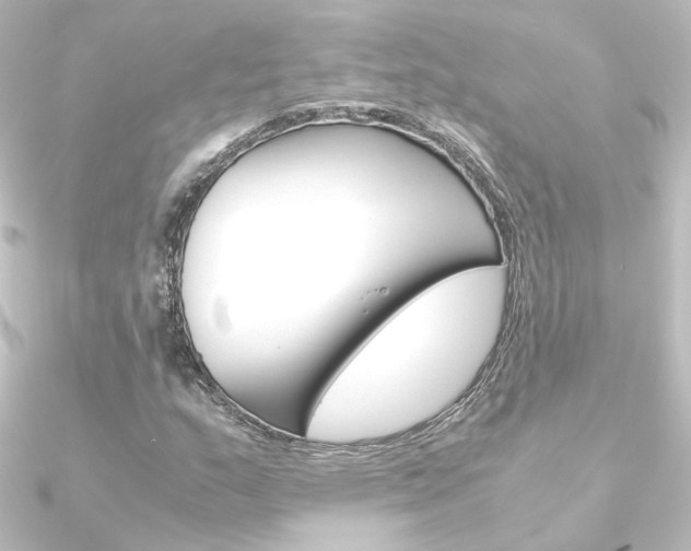 X0000090961159200708021116