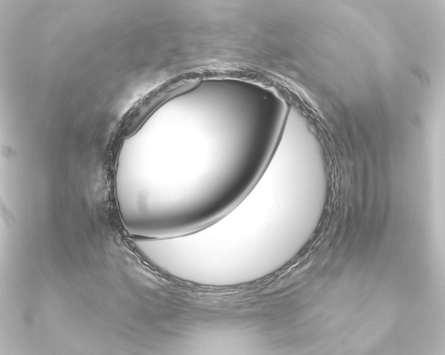 X0000090961160200708021116