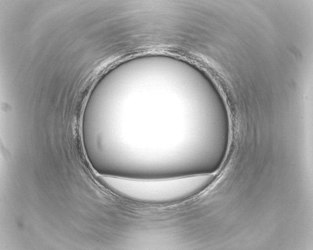 X0000090961161200708021116