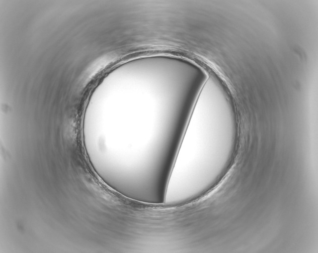 X0000090961163200708021116