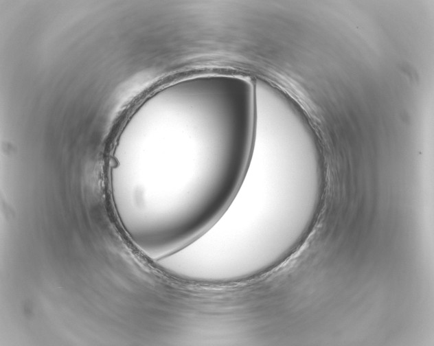X0000090961164200708021116