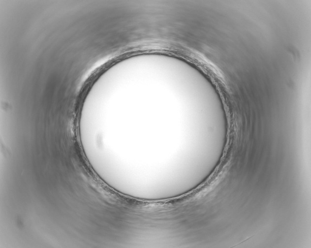 X0000090961166200708021116