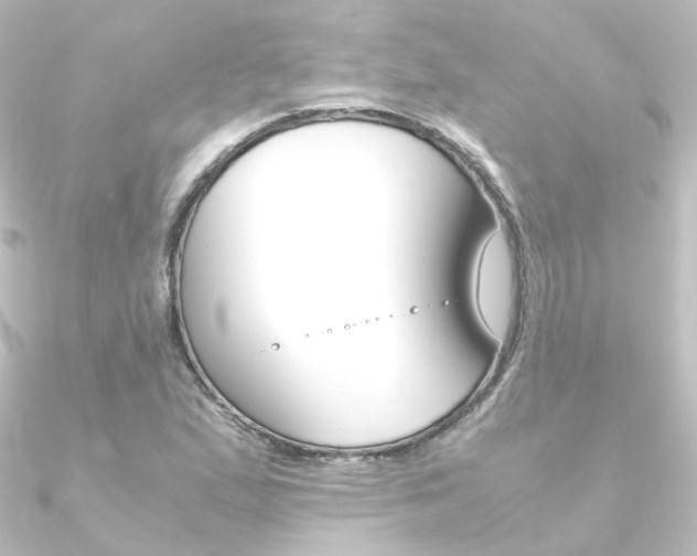 X0000090961167200708021116