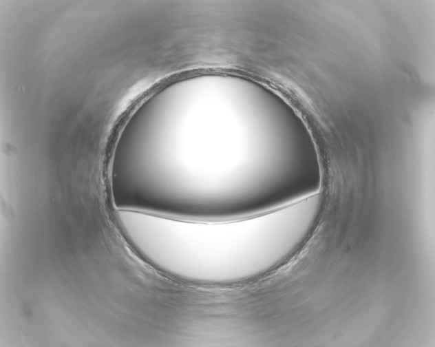 X0000090961168200708021116