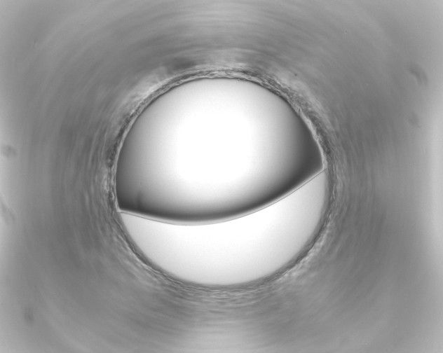 X0000090961169200708021116