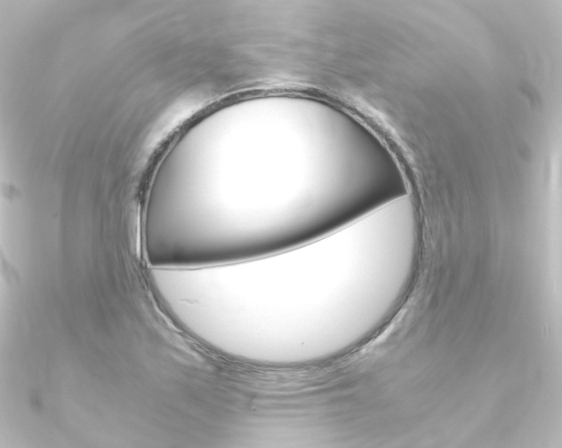 X0000090961171200708021116