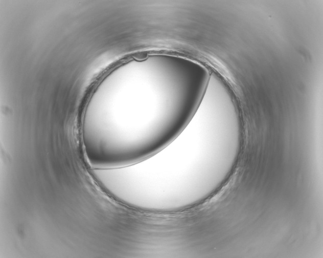 X0000090961172200708021115