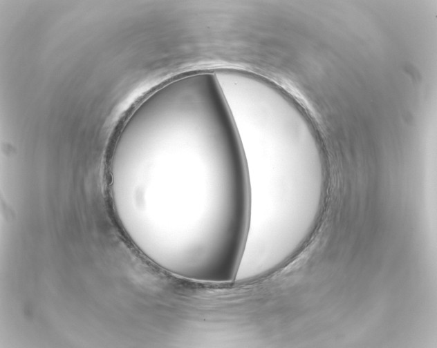 X0000090961173200708021115