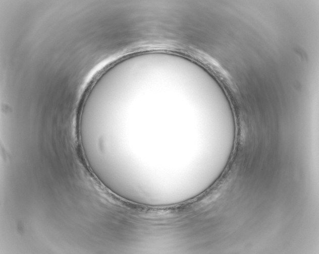 X0000090961174200708021115