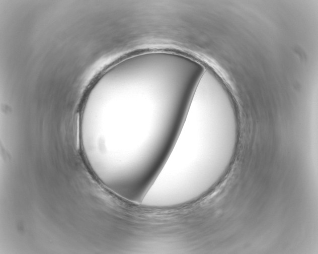 X0000090961175200708021115