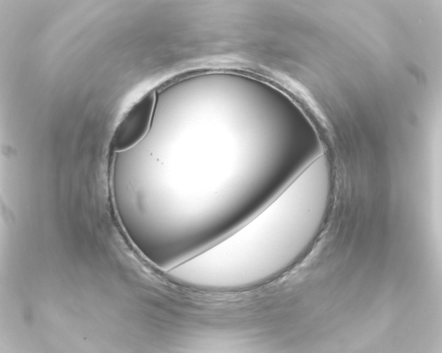 X0000090961176200708021115