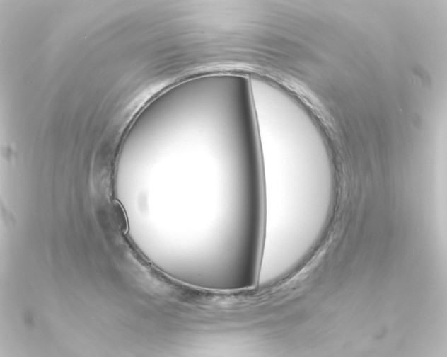 X0000090961177200708021115
