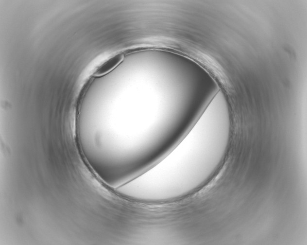 X0000090961180200708021115