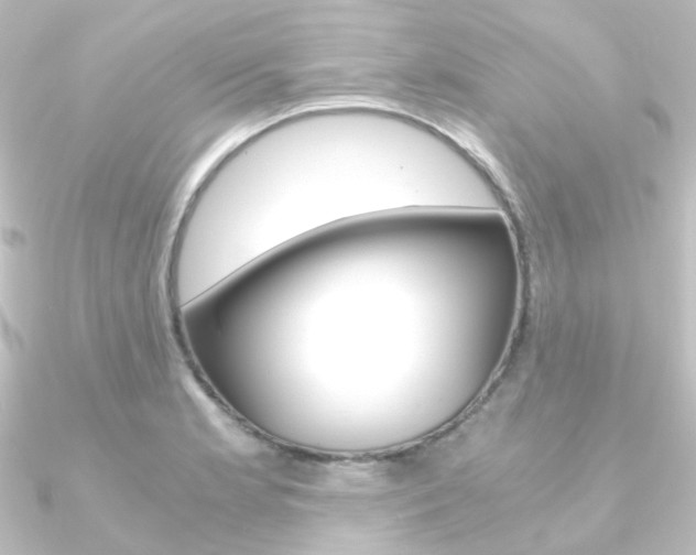 X0000090961181200708021115