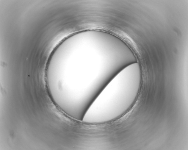 X0000090961182200708021115