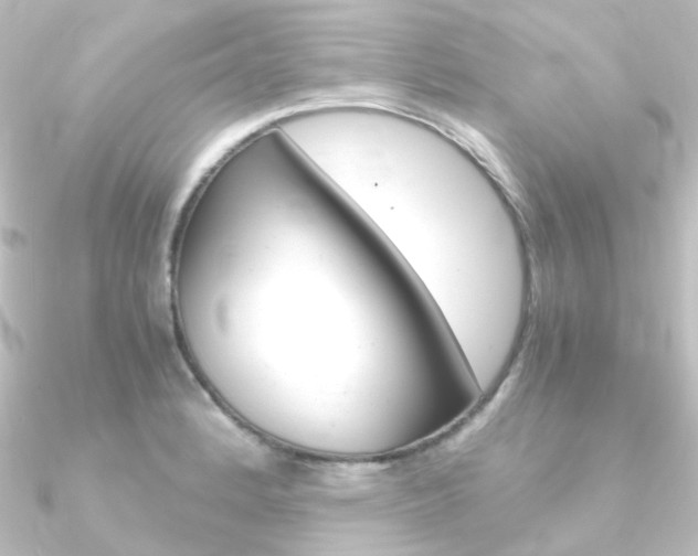 X0000090961184200708021115