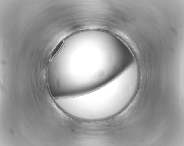 X0000090961185200708021115